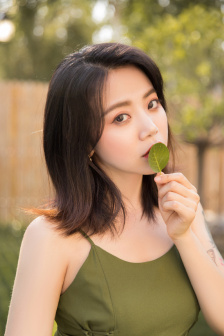 铁杉树丛第一季